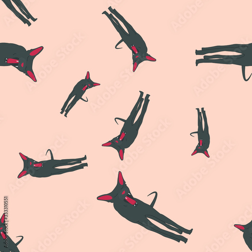 Bald or shorthair cat pattern