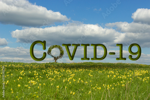 Blumenwiese Himmel Wolken. Baum als Symbol Coronavirus - COVID-19