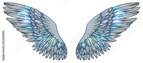Beautiful magic light fragile glowing shiny blue beige wings, vector
