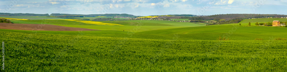 panoramic view of green field full of wheat, colorful slopes at spring time panoramic view of green field full of wheat, colorful slopes at spring time
