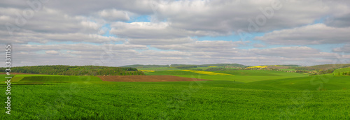 Green field full of wheat and colorful slopes with cloudly sky