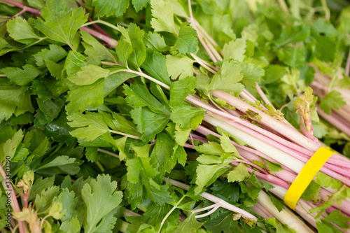 A view of Chinese pink celery on display at a local farmers market.