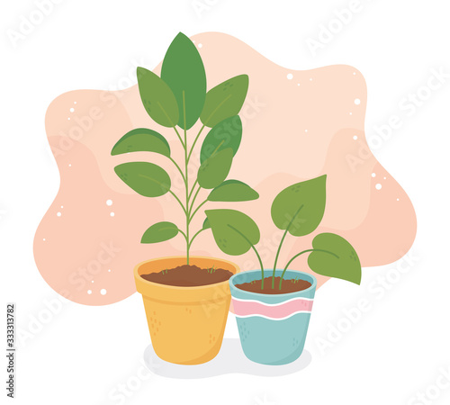 sweet home potted plants decoration interior