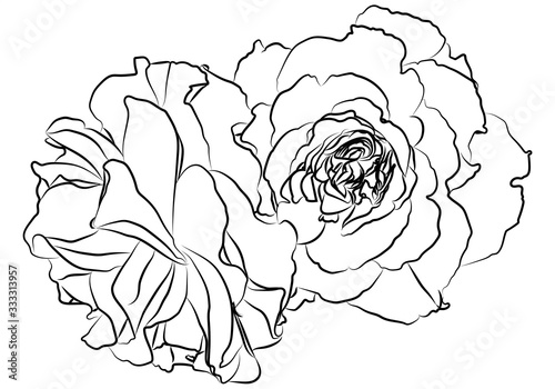 Dibujo de una rosa hecha con trazos.