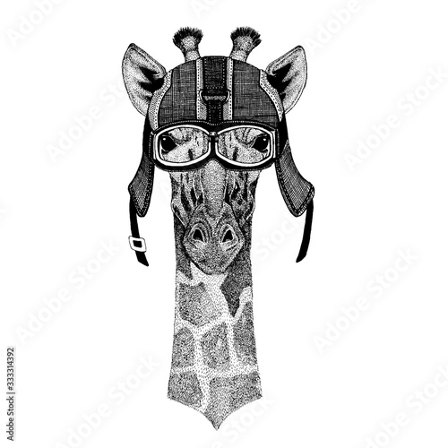 Camelopard, giraffe Hipster animal wearing motorycle helmet. Image for kindergarten children clothing, kids. T-shirt, tattoo, emblem, badge, logo, patch