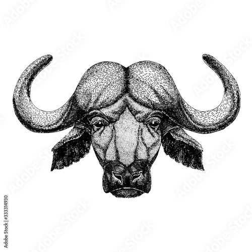 Buffalo, bull, ox. Wild animal for tattoo, nursery poster, children tee, clothing, posters, emblem, badge, logo, patch
