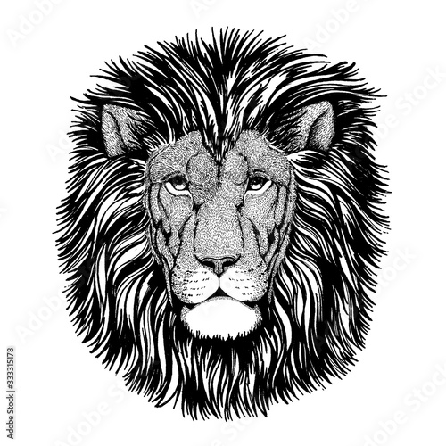 Fototapeta Naklejka Na Ścianę i Meble -  Lion. Wild animal for tattoo, nursery poster, children tee, clothing, posters, emblem, badge, logo, patch