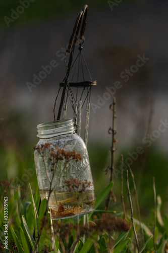 old lantern in garden