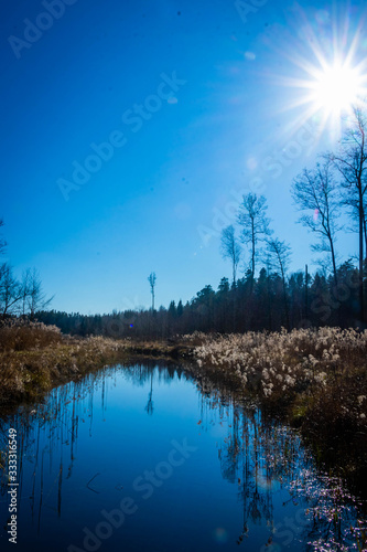Fototapeta Naklejka Na Ścianę i Meble -  beautiful spring backwaters glistening in the rays of the sun against the blue sky