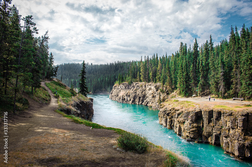 Miles Canyon in Yukon territory is scenic trail for hiking through the pine forests of Canadian wilderness. photo