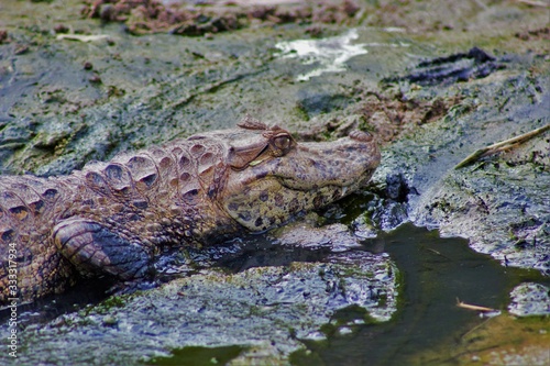 Nature and Wildlife
