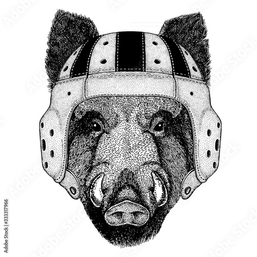 Hog, aper, boar. Portrait of animal wearing rugby helmet