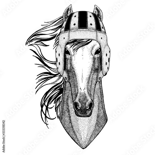 Horse. Portrait of animal wearing rugby helmet