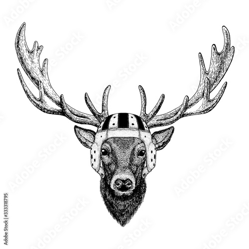 Deer. Portrait of animal wearing rugby helmet