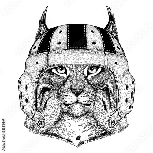 Lynx. Portrait of animal wearing rugby helmet