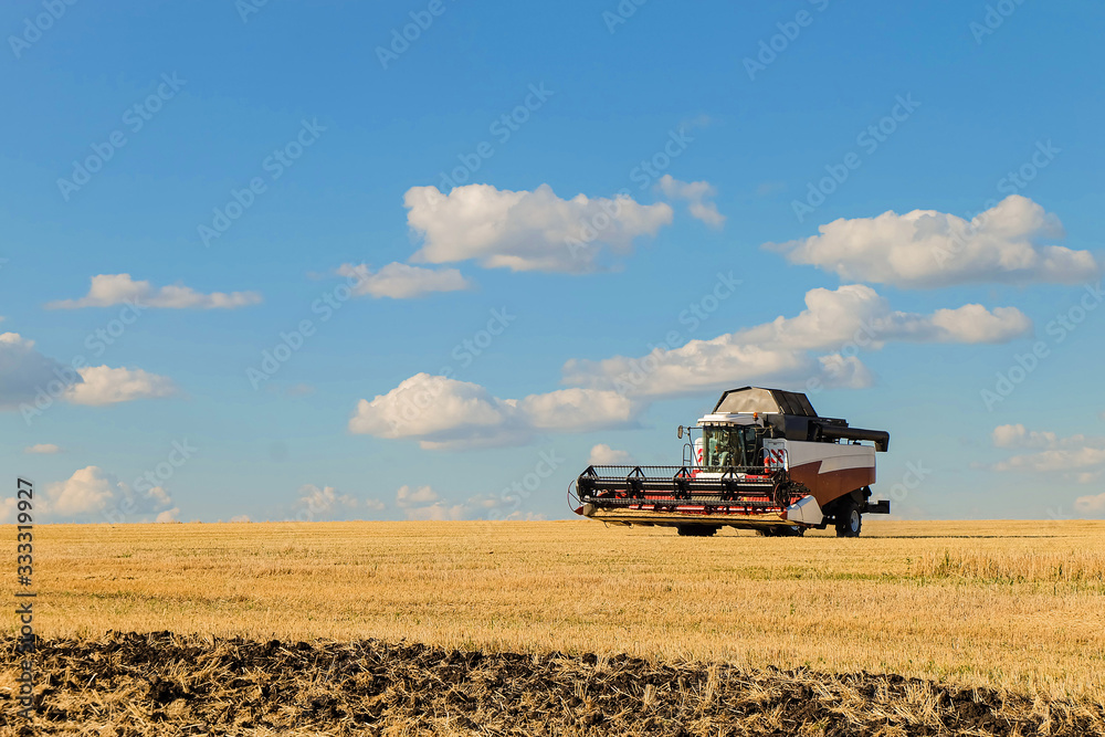 Fototapeta premium Combine harvester in the field during the harvest
