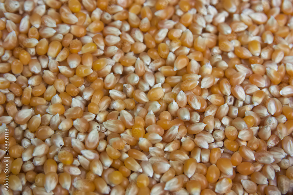 Close-up of a bowl of raw popcorn Close-up of a bowl of raw popcorn