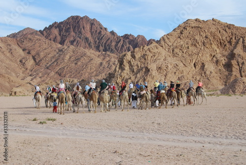 group of tourists in the desert