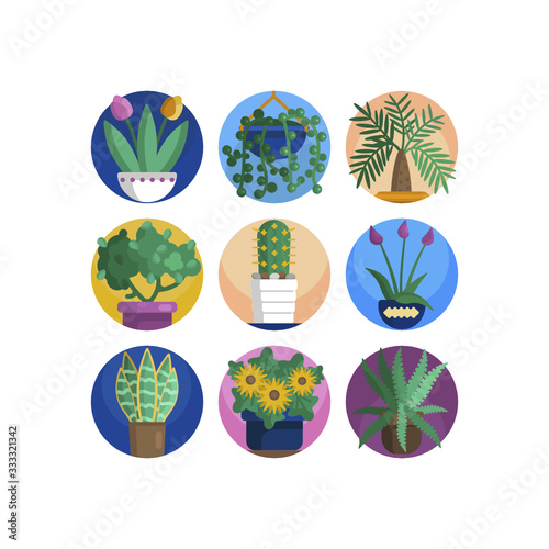 Plant in flower pot icon. Line  solid and filled outline colorful version  outline and filled vector sign. Home plant symbol  logo illustration. Different style icons set. Pixel perfect vector