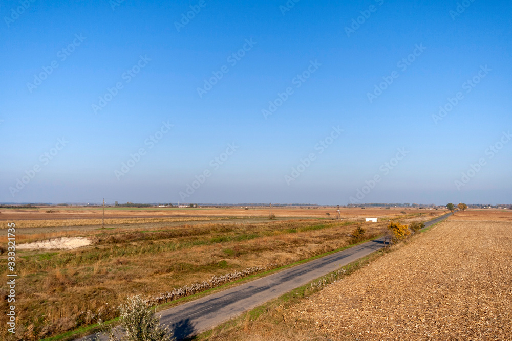 Autumn road on the Great Hungarian Plain