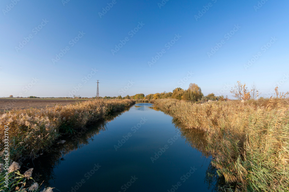 Danube channel and common reed in the Hungarian countryside. Danube channel and common reed in the Hungarian countryside.