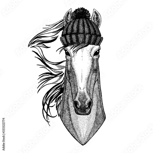 Horse, hoss, knight, steed, courser Cool animal wearing knitted winter hat. Warm headdress beanie Christmas cap for tattoo, t-shirt, emblem, badge, logo, patch