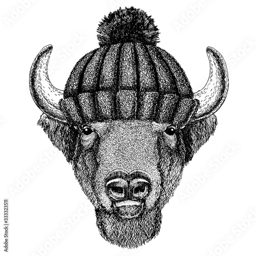 Buffalo, bison,ox, bull Cool animal wearing knitted winter hat. Warm headdress beanie Christmas cap for tattoo, t-shirt, emblem, badge, logo, patch