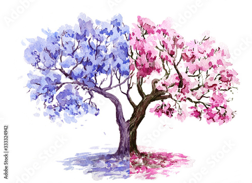 The Jacaranda and Sakura decorative tree.Hand drawn sketch.Watercolor illustration