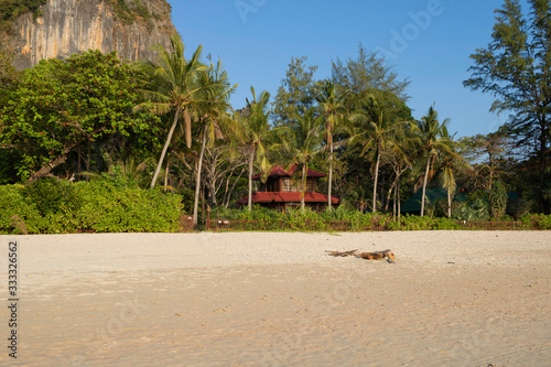 Praia Tailândia 
