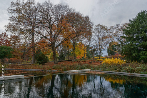 Bronx, New York, USA: Trees and autumn leaves reflected in an outdoor pool at the New York Botanical Garden.