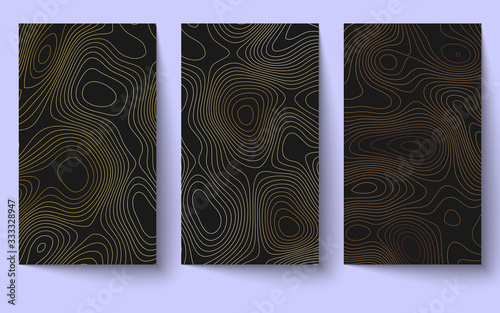Set of Topographic Map vertical Background. Topographical style lines pattern. Abstract gold contours on dark backdrop.