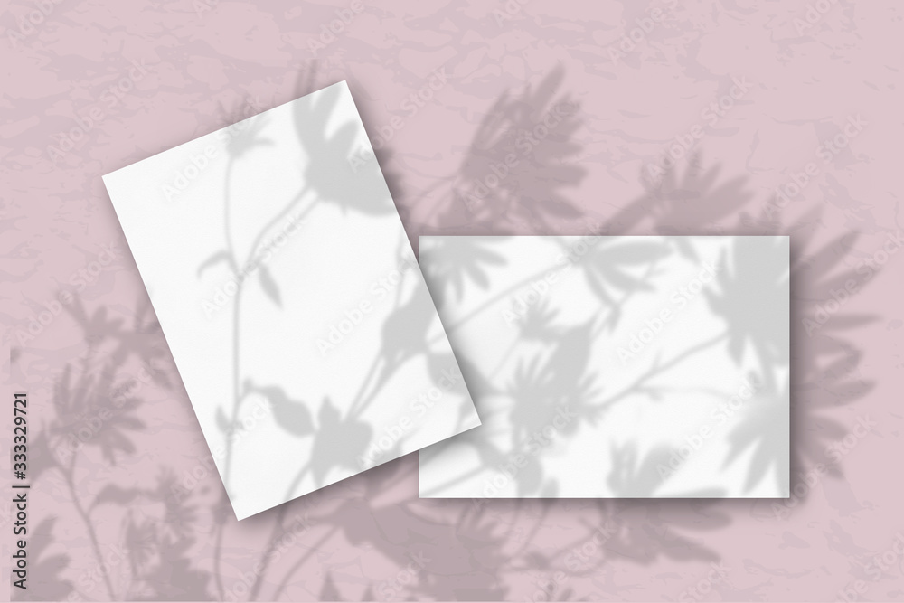 2 sheets of white textured paper against a pink wall. Mockup with an overlay of plant shadows. Natural light casts shadows from flowers and leaves of daisies. Flat lay, top view