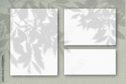 Several horizontal and vertical sheets of white textured paper against a gray wall. Mockup overlay with the plant shadows. Natural light casts shadows from the tree's foliage
