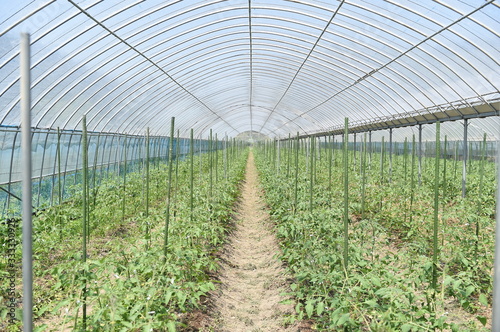 野菜