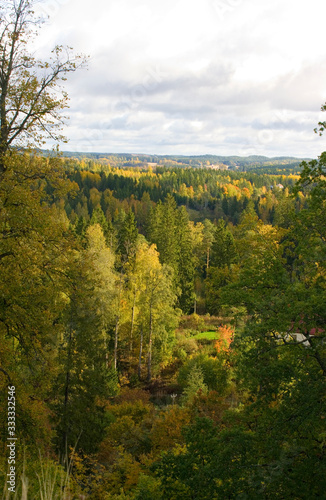 Fototapeta Naklejka Na Ścianę i Meble -  autumn