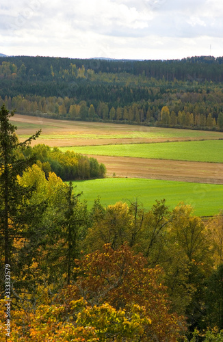 landscape in autumn