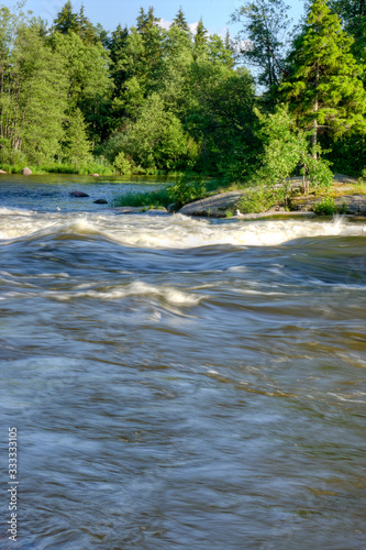 river in the forest