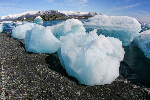 The beautiful clear ice on "Diamond beach" in Iceland