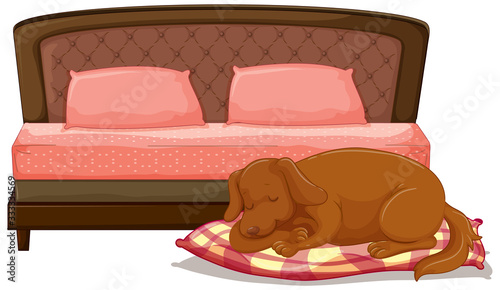 Scene with dog sleeping on the pet bed