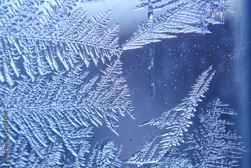 macro ice on the glass in winter Patterned like leaves	