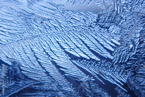 macro ice on the glass in winter Patterned like leaves	