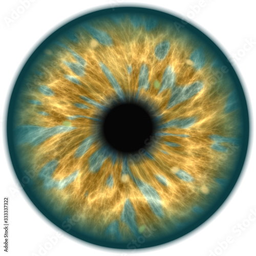 green isolated human eye iris