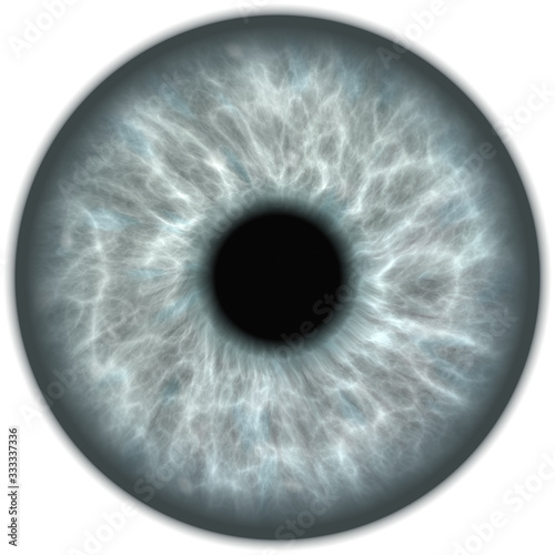 grey isolated human eye iris
