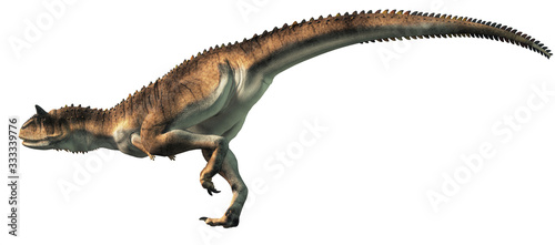 Carnotaurus was a carnivorous theropod dinosaur with horns on its head that lived in Cretaceous era South America. On a white background. 3D Rendering  © Daniel Eskridge
