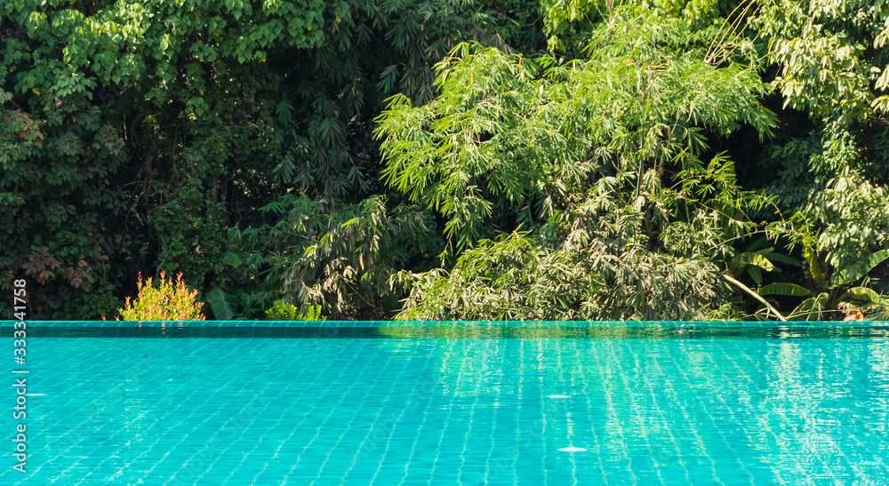 swimming pool in tropical garden