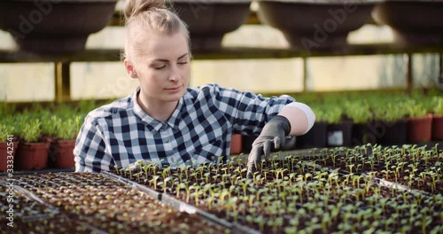 Female Botanist Examining Plants at Grenhouse photo