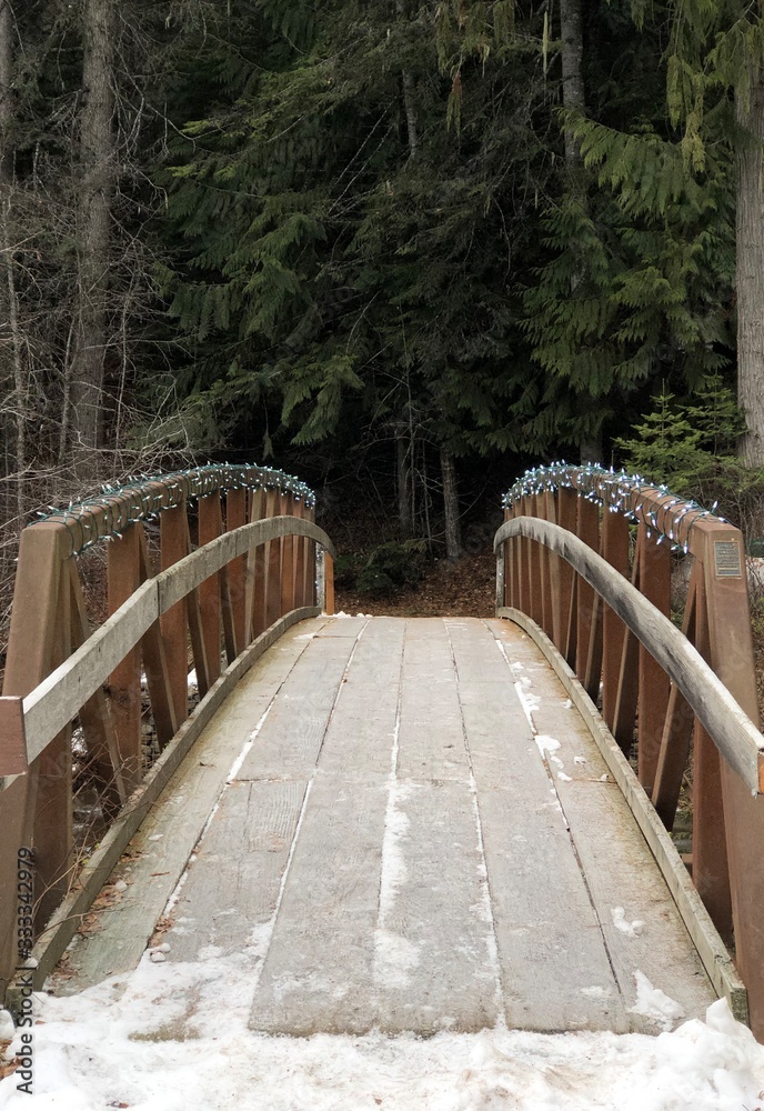 View across a bridge on a hiking trail in the forest 