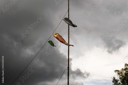 Três Koinobori em céu nublado flutuando ao vento