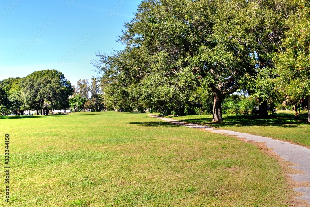 Fototapeta premium Overgrown landscapes in Florida state