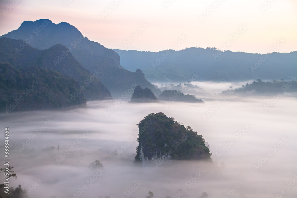 fog in the mountains